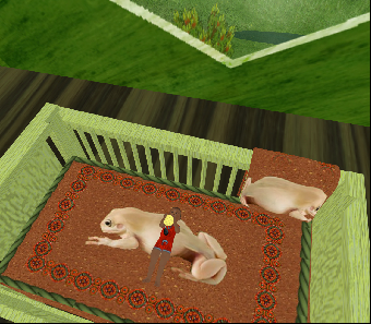 better view of Petrichor's 2015 crib with flesh frog bedding