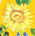 look a sunflower