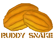 2 cacao beans