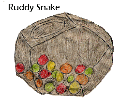 candy bowl from Woodruff Library
