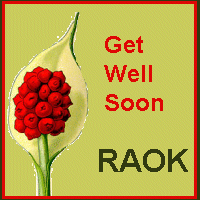 aroid get well soon