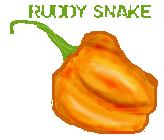 habanero pepper