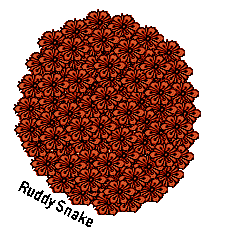 ball of red flowers