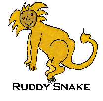 golden lion tamarin gif
