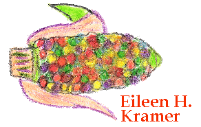 Mandan rainbow corn