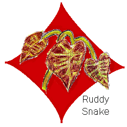 new caladium sig file