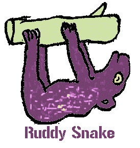a purple sloth
