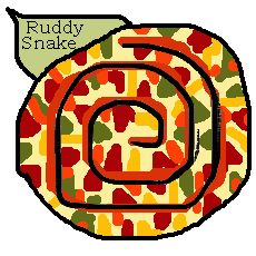 A rainbow snail that looks like a ruddy snake
