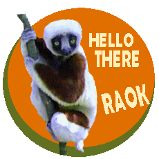 Sifaka says hello