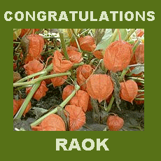 chinese lanterns congratulations