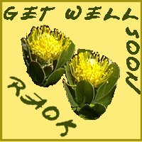 yellow protea get well soon