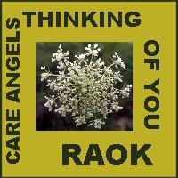 queen anne's lace thinking of you