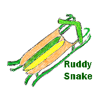 Ruddy Snake's flexible flyer