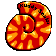 It's a colorful nautilus shell