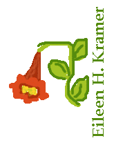 trumpet vine flower